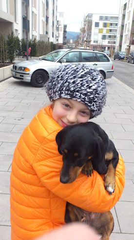 sab hund